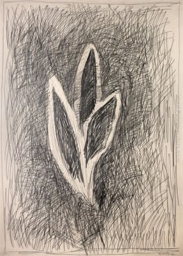 Llapis-plom Llapis-plom