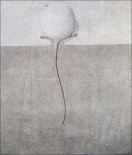 Souris Blanche sur la nappe Souris Blanche sur la nappe