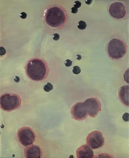 Macchie di sangue Macchie di sangue