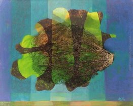 Alghe Collage Alghe Collage