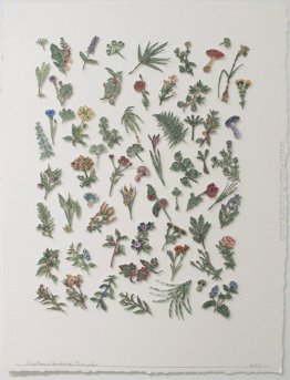 Botanica (fiori) Botanica (fiori)