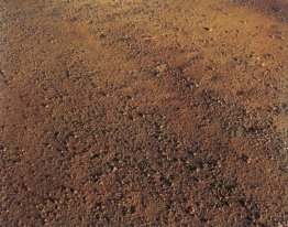 Untitled III Untitled III