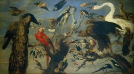 Concerto d'Uccello Concerto d'Uccello