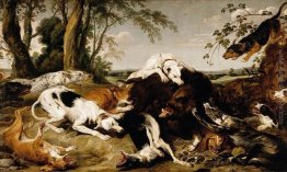 Hounds abbattere un cinghiale Hounds abbattere un cinghiale