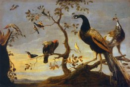 Gruppo di uccelli appollaiati sui rami Gruppo di uccelli appollaiati sui rami