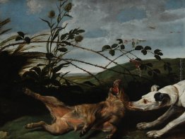 La cattura di un Greyhound Cinghialetto La cattura di un Greyhound Cinghialetto