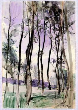 Paesaggio con alberi Paesaggio con alberi