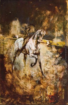 Cavallo bianco Cavallo bianco