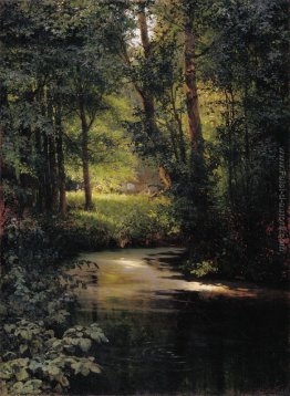 Creek nel bosco Creek nel bosco
