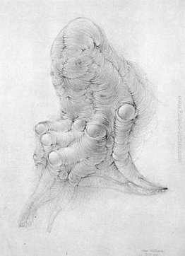 Senza titolo Senza titolo