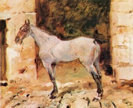 Cavallo Tethered Cavallo Tethered