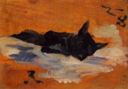 Cagnolino Cagnolino