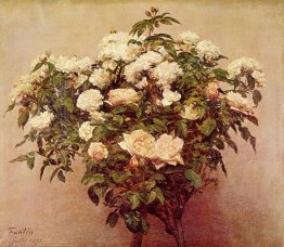 Rose alberi bianchi Rose Rose alberi bianchi Rose