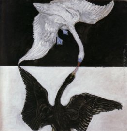 The Swan (n ° 17) The Swan (n ° 17)