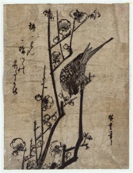 Plum Blossom e Bush Warbler Plum Blossom e Bush Warbler