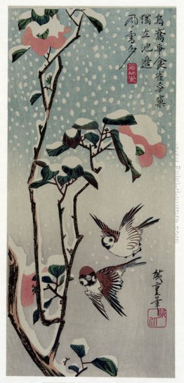 Passeri e camelie sotto la neve Passeri e camelie sotto la neve