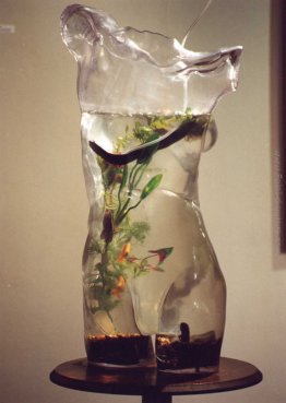 Peces y bichos coloridos de Comfer Peces y bichos coloridos de Comfer