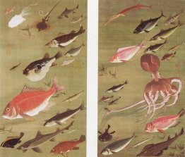 Polpo e pesce Polpo e pesce