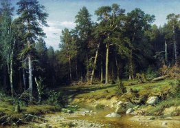 Pine Forest in Vyatka provincia Pine Forest in Vyatka provincia