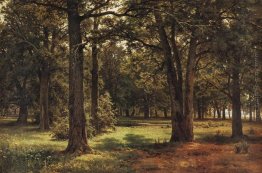 Oaks di Pietro il Grande a Sestroretsk Oaks di Pietro il Grande a Sestroretsk