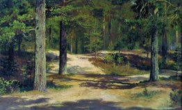 pineta pineta