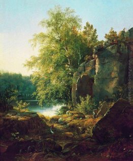 Veduta di Valaam Isola Veduta di Valaam Isola