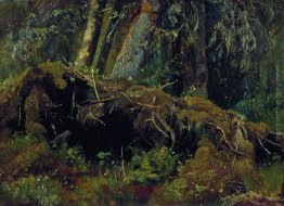 Vento alberi caduti Vento alberi caduti