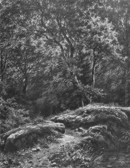 Percorso nella foresta Percorso nella foresta