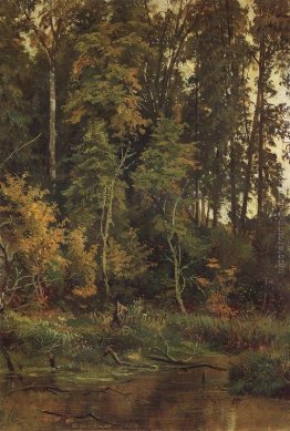 Vai alla autunno Vai alla autunno