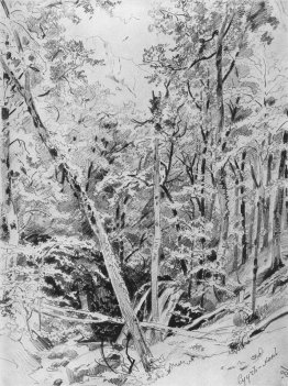 Suuch Khan. Crimea Suuch Khan. Crimea