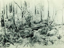 Nel folto bosco Nel folto bosco