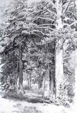 pineta pineta
