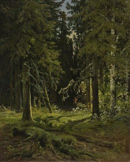 Forest Landscape Forest Landscape