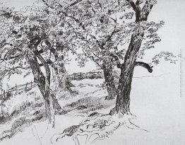 Alberi Alberi