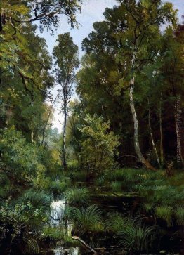 Stagno invaso al margine del bosco. Siverskaya Stagno invaso al margine del bosco. Siverskaya