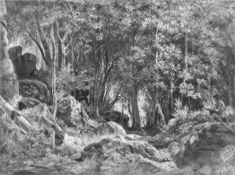 Valaam. Foresta sulle rocce Valaam. Foresta sulle rocce