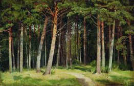 pineta pineta