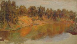 Forest Lake Forest Lake