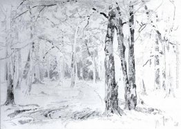La strada nel bosco La strada nel bosco