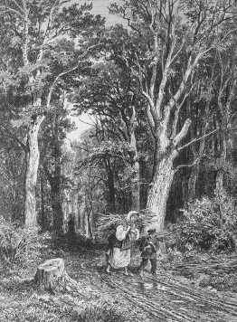 La strada nel bosco La strada nel bosco