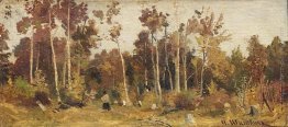 Paesaggio. Limitare di un bosco Paesaggio. Limitare di un bosco