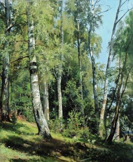 Birch Grove Birch Grove