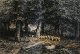 Gregge di pecore nella foresta Gregge di pecore nella foresta