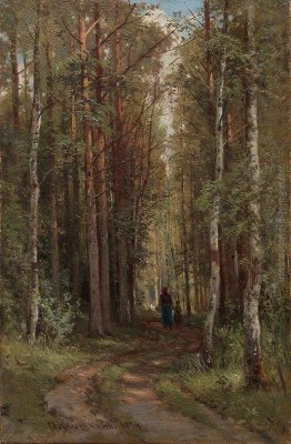 Forest Landscape Forest Landscape