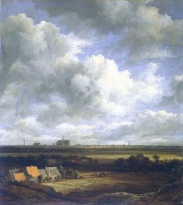 Veduta di Haarlem con i campi sbiancanti in primo piano Veduta di Haarlem con i campi sbiancanti in primo piano