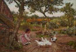 Il cottage Il cottage