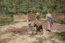 The Goat ragazza The Goat ragazza