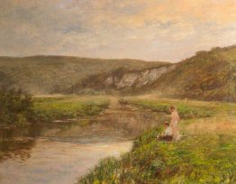 A Misty Morning A Misty Morning