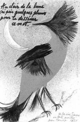 Senza titolo Senza titolo