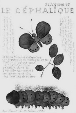 Senza titolo Senza titolo